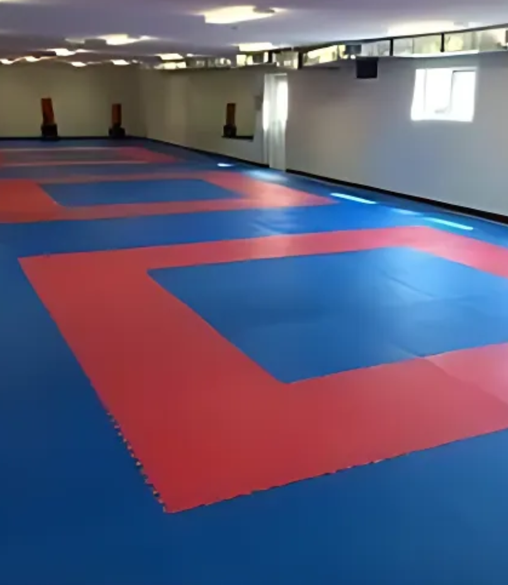 Kabaddi Red Blue Mats